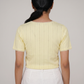 Knit Solid Slim Fit Cropped T-Shirt