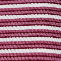 Striped Slim Fit Cropped T-Shirt