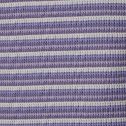 Striped Slim Fit Crop T-Shirt