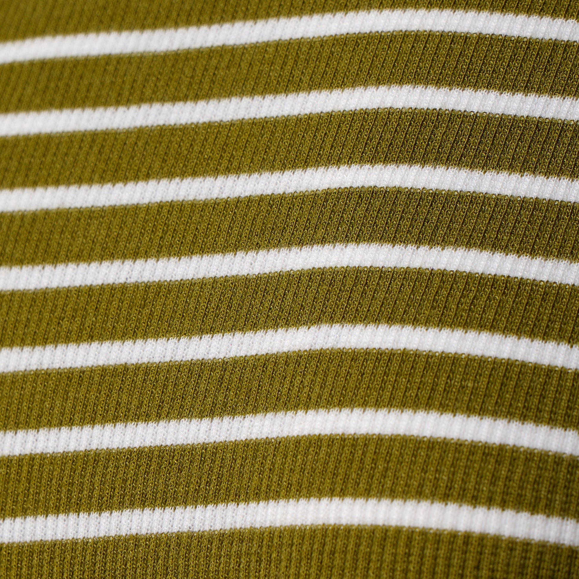 Striped Slim Fit Cropped T-Shirt