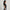 Knitted Solid Crop Polo T-Shirt