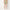 Order Now Women Tropical Relaxed Regular Fit High Rise Casual Wear Fashion Shorts by Style Union