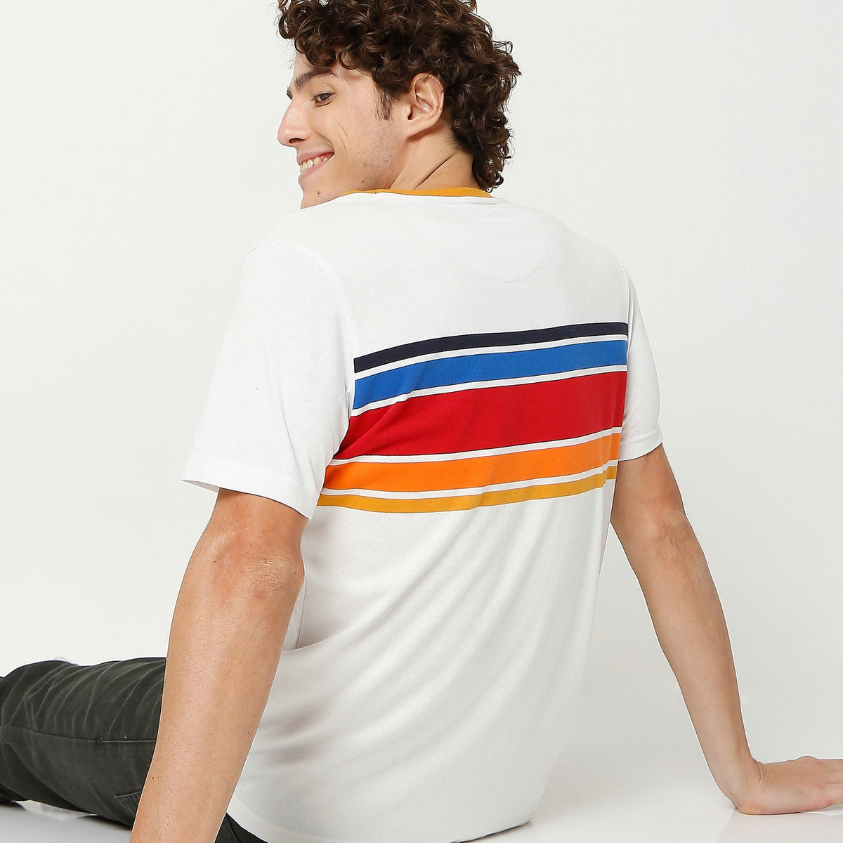 Men Wearing Regular Fit Striped T-Shirt