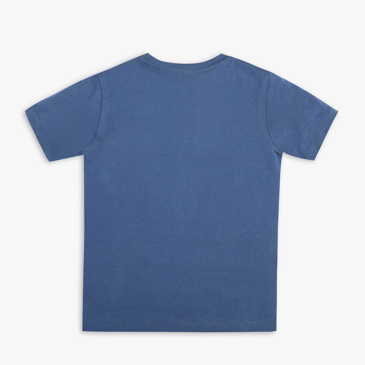 Boy Wearing Boy's Regular Fit Graphic T-Shirt