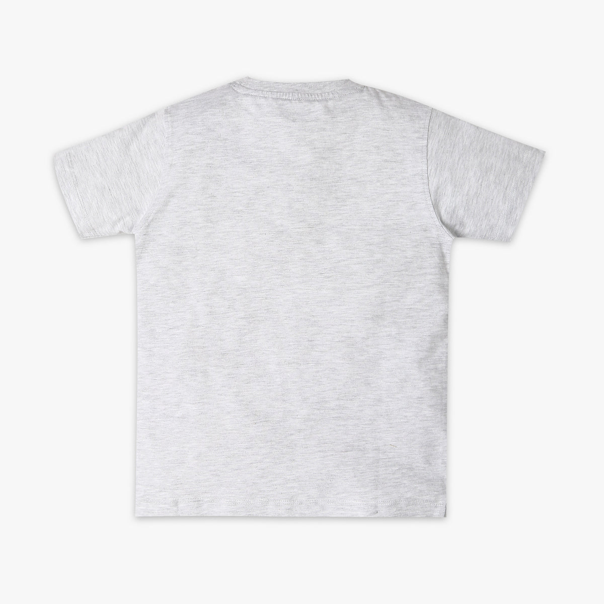 Boy's Regular Fit Graphic T-Shirt