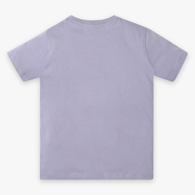 Boys Regular Fit Graphic T-Shirt