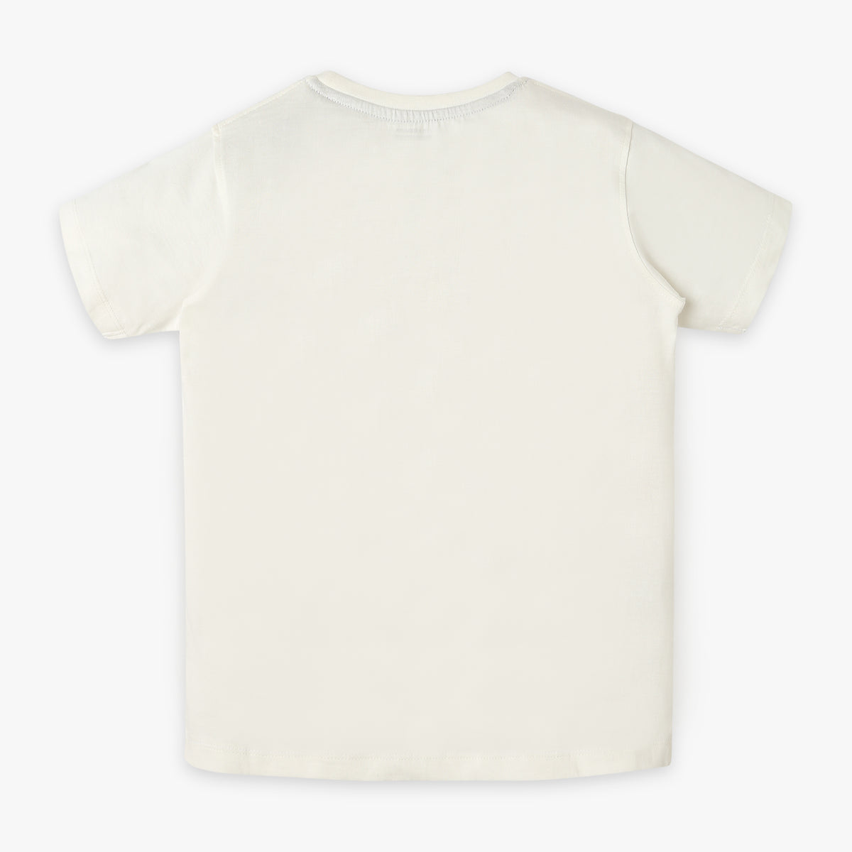 Boys Regular Fit Graphic T-Shirt