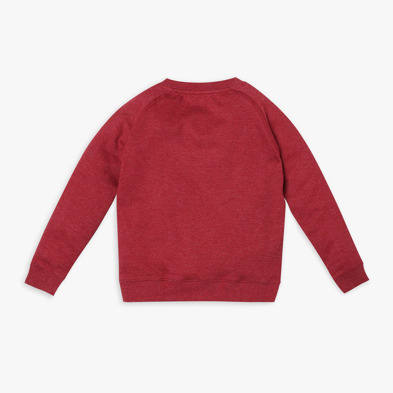 Boy's Regular Fit Solid Sweat Tees