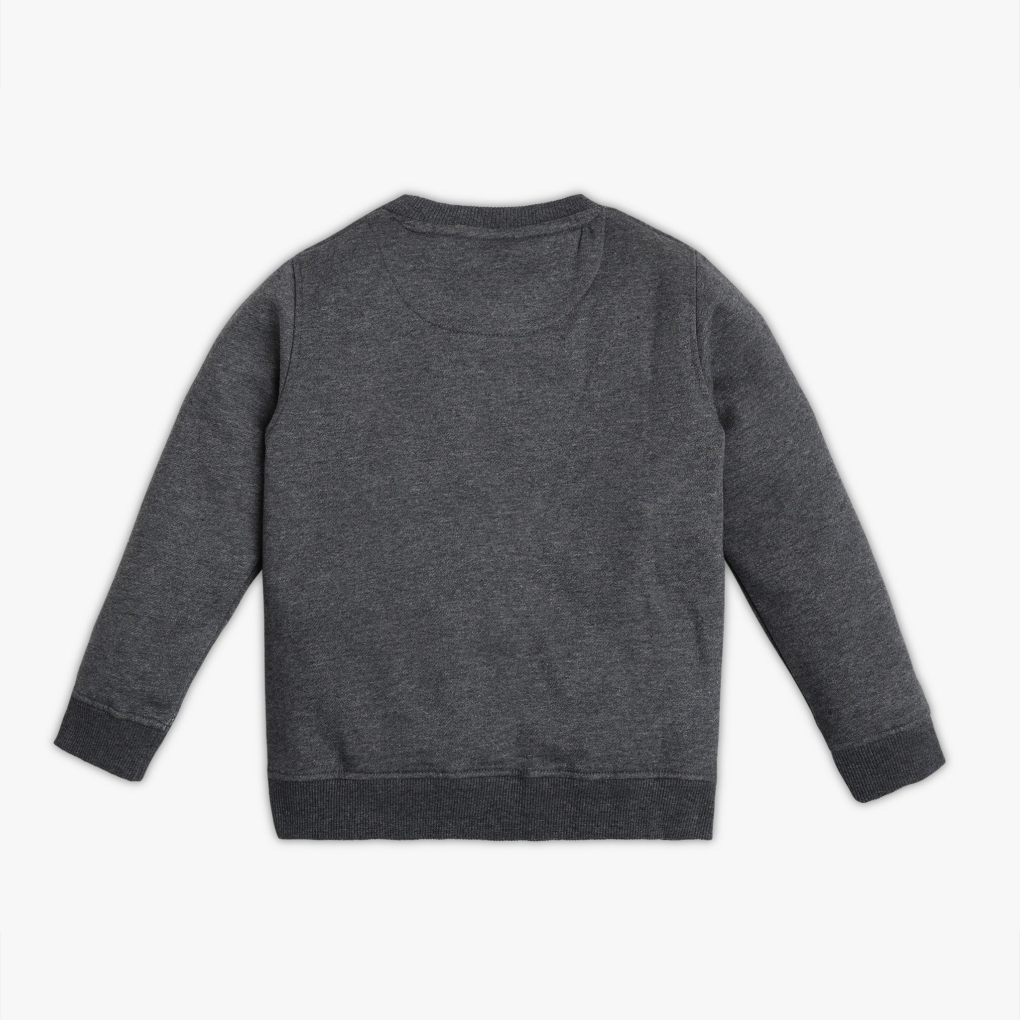 Boys Regular Fit Printed Sweat Tees