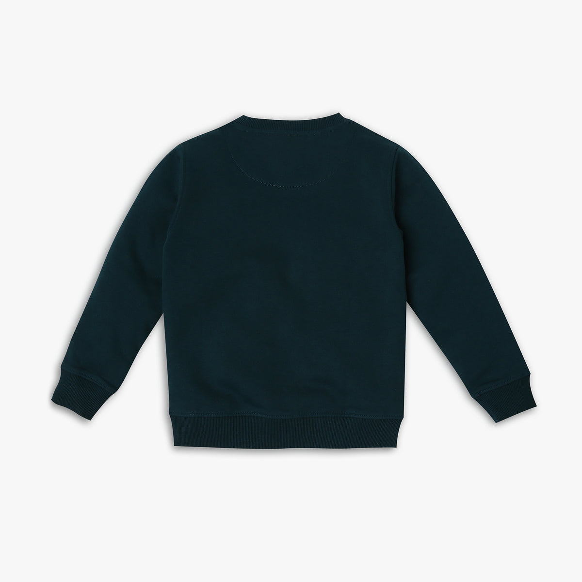 Boy's Regular Fit Graphic Sweat Tees