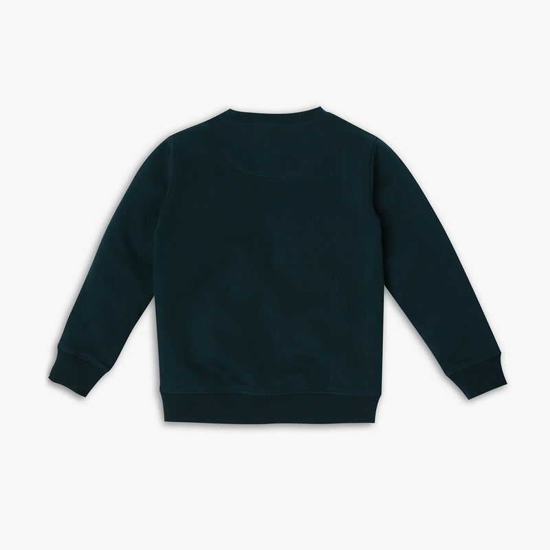 Boy's Regular Fit Graphic Sweat Tees