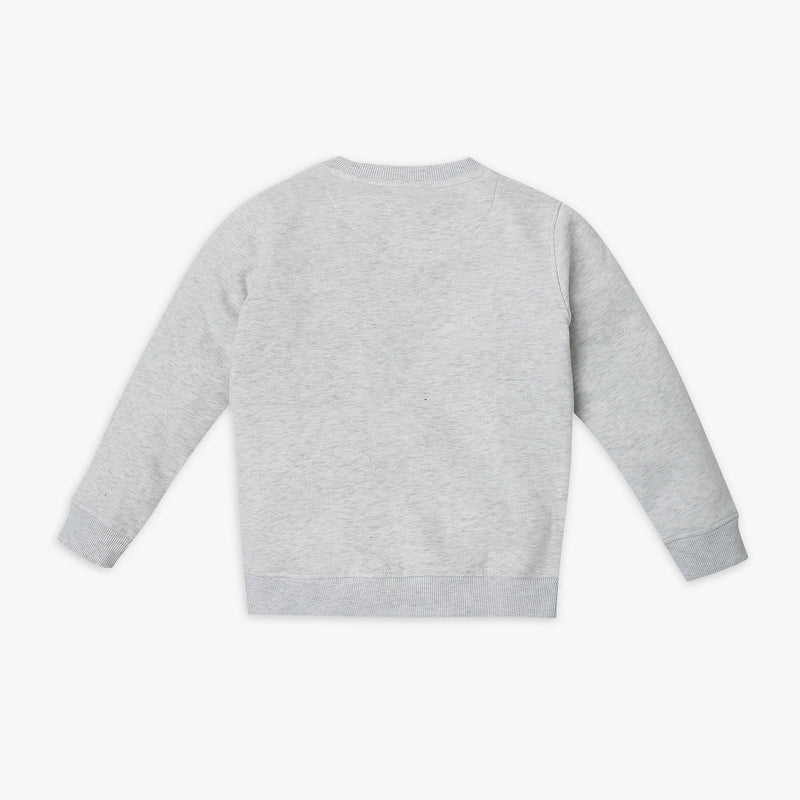 Boy's Regular Fit Graphic Sweat Tees