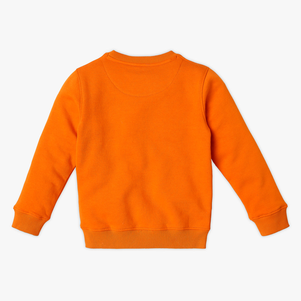 Boy's Regular Fit Printed Sweat Tees