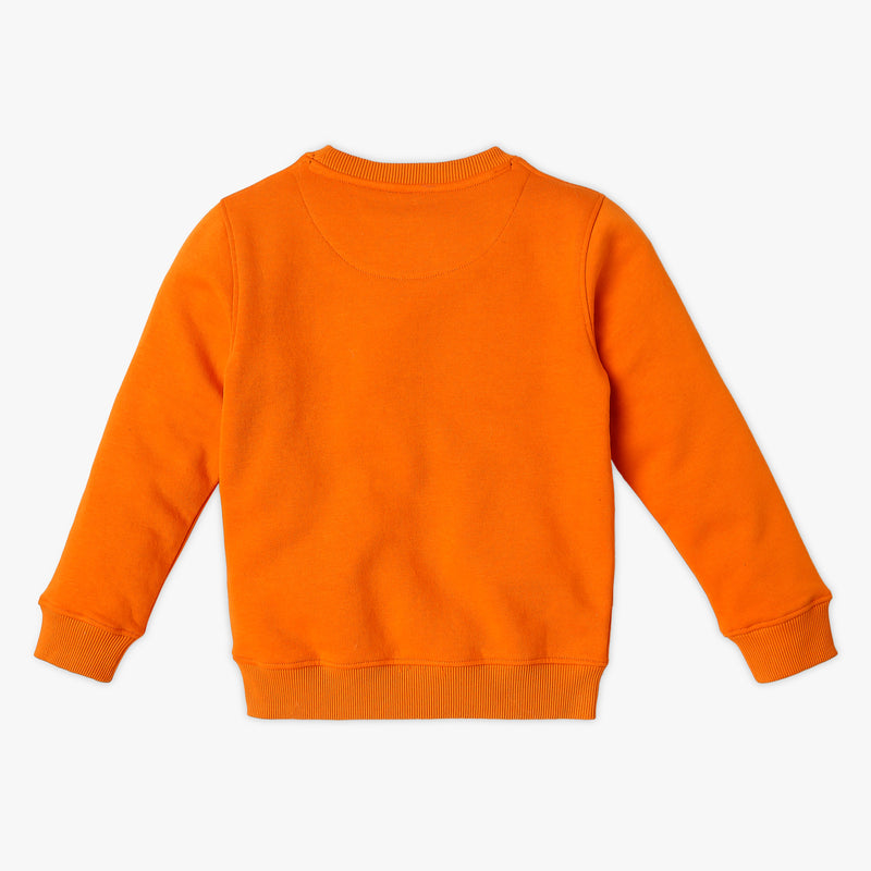 Boy's Regular Fit Printed Sweat Tees