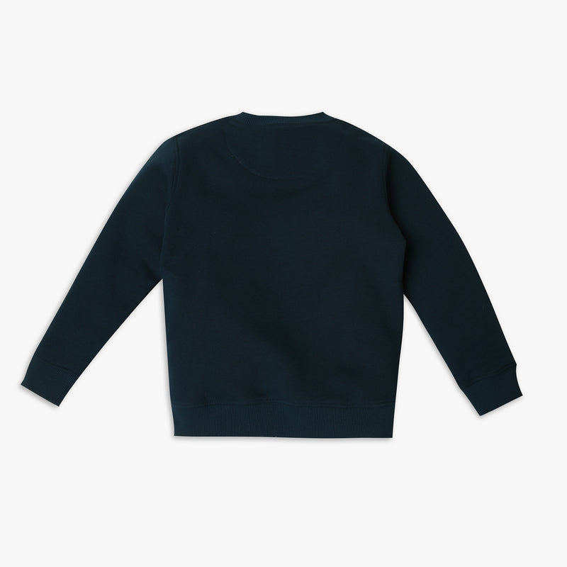 Boy's Regular Fit Graphic Sweat Tees