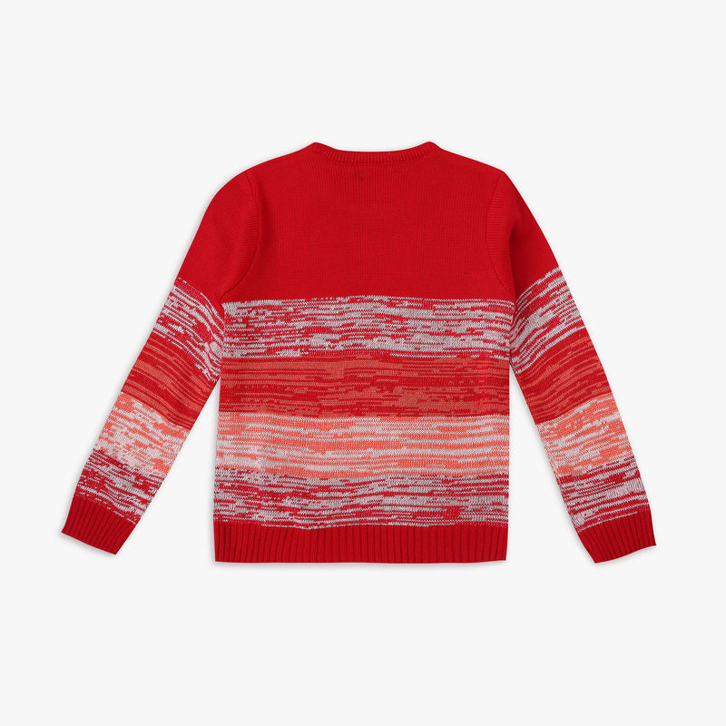 Boy's Regular Fit Jacquard Sweater