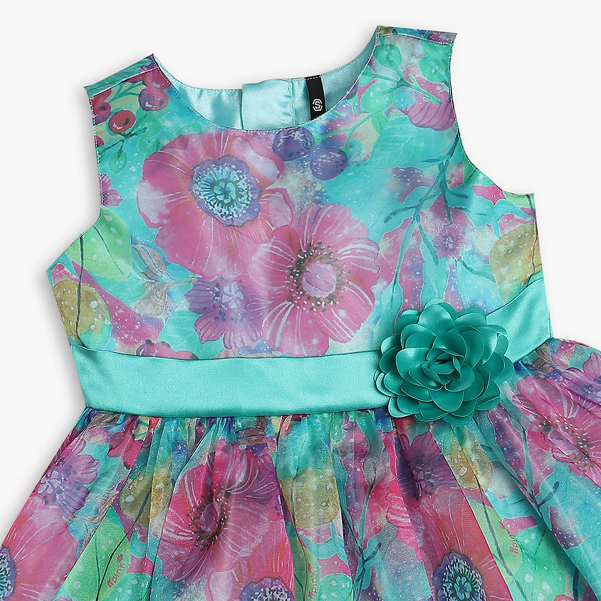 Girls Regular Fit Printed Frock