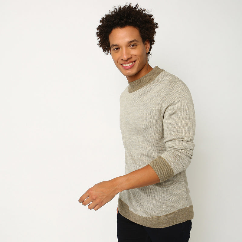 Men Wearing Regular Fit Solid Sweaters