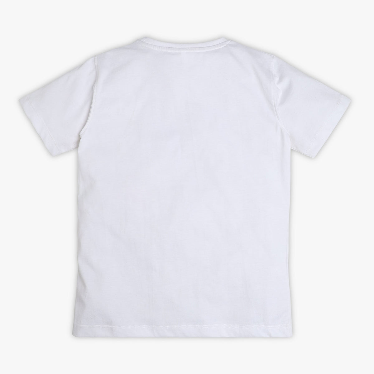 Boys Regular Fit Graphic T-Shirt