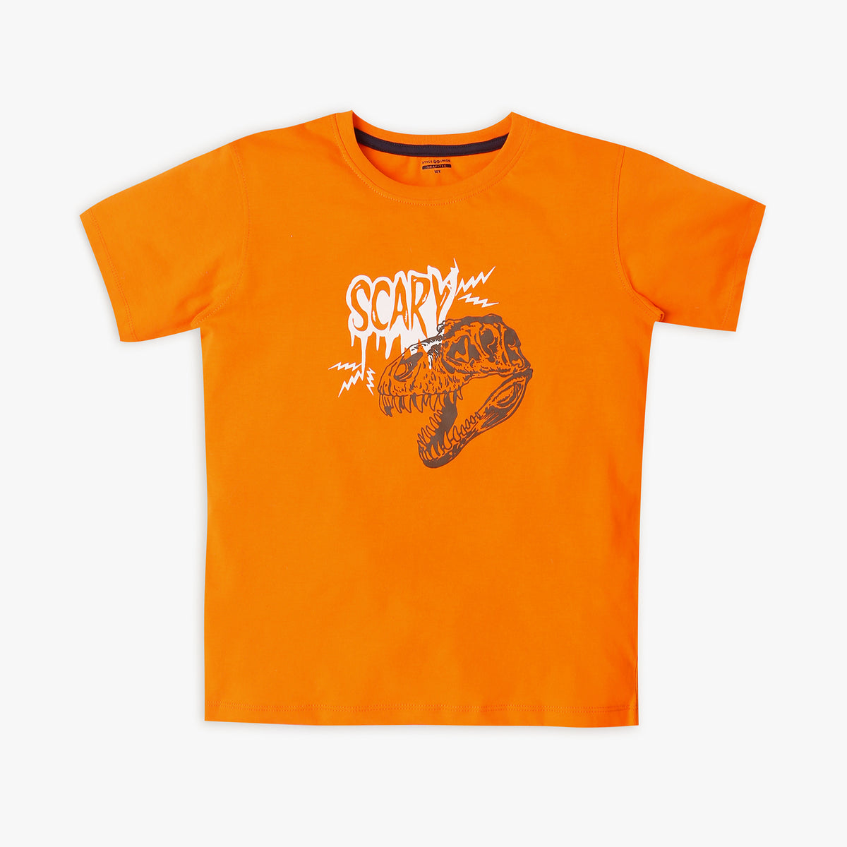 Boy's Regular Fit Graphic T-Shirt