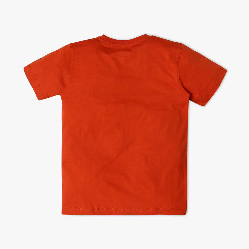 Boy's Regular Fit Graphic T-Shirt