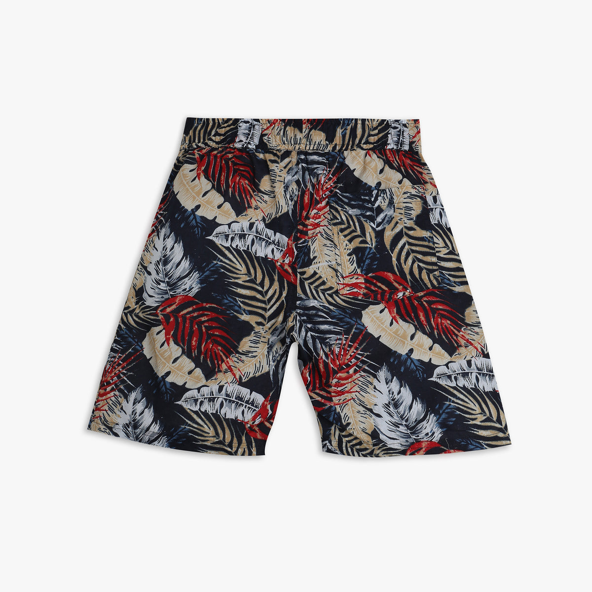 Boys Regular Fit Printed Mid Rise Shorts