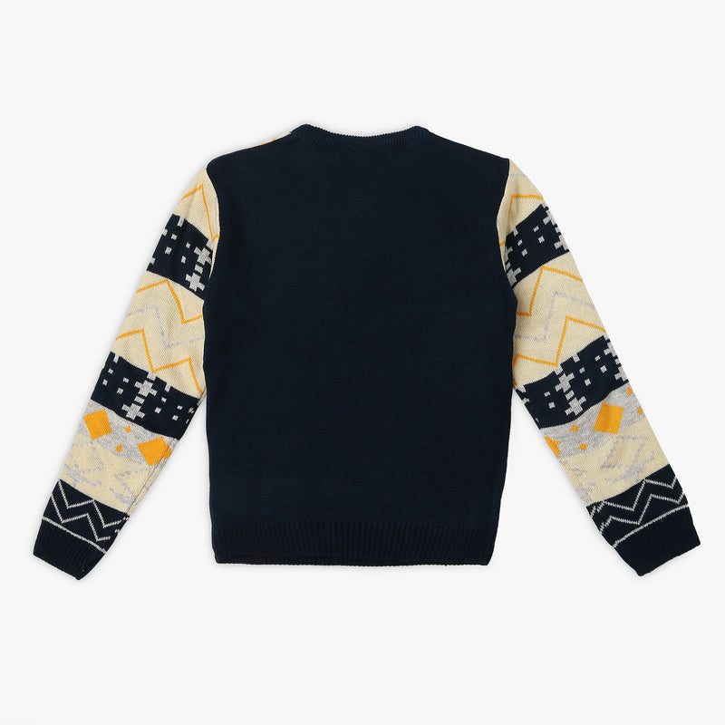 Boy's Regular Fit Jacquard Sweater