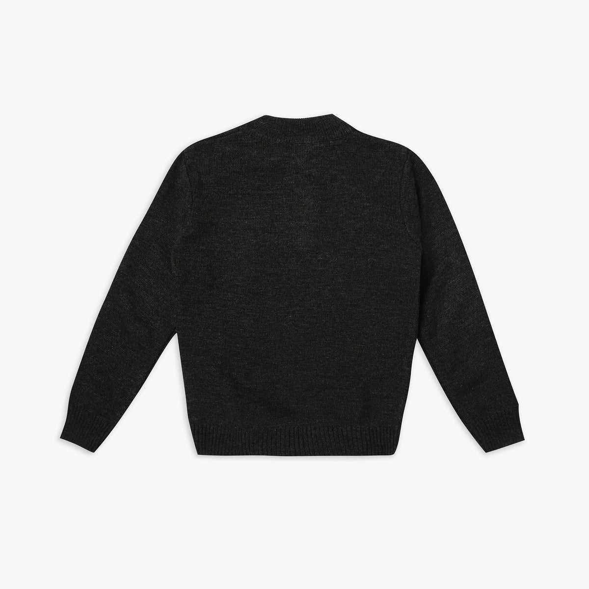 Boy's Regular Fit Jacquard Sweater