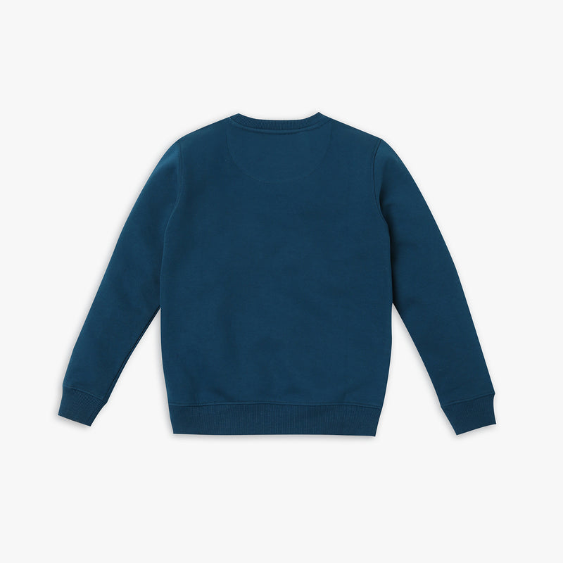 Boy's Regular Fit Graphic Sweat Tees