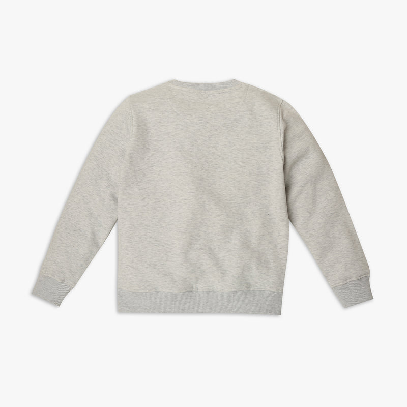 Boy's Regular Fit Graphic Sweat Tees