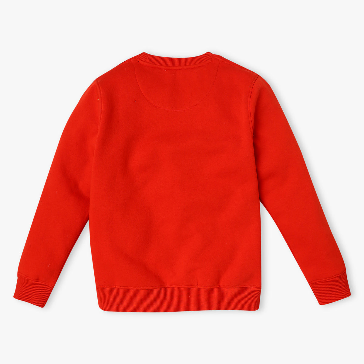 Boy's Regular Fit Printed Sweat Tees